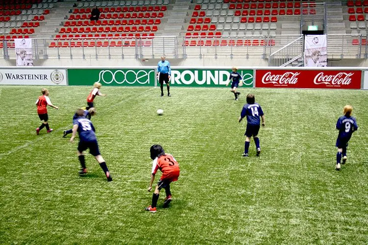 Mini-Pitch costs